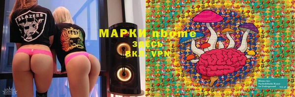 соль ск Новозыбков