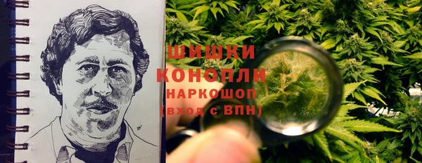 соль ск Новозыбков