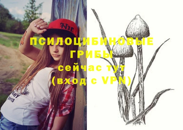 индика Алексеевка