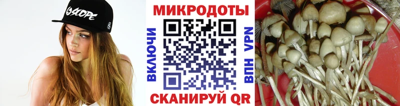 Псилоцибиновые грибы прущие грибы Шахты